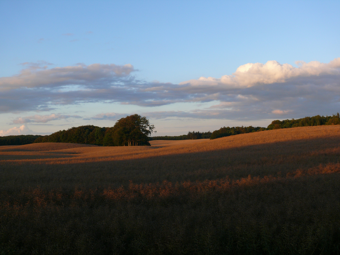 Irgendwo in Westenseenähe