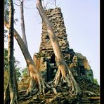 Irgendwo innerhalb Angkor Thoms