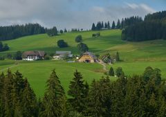 Irgendwo unterwegs im Schwarzwald