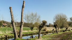 IRGENDWO VERLÄUFT DIE GRENZE