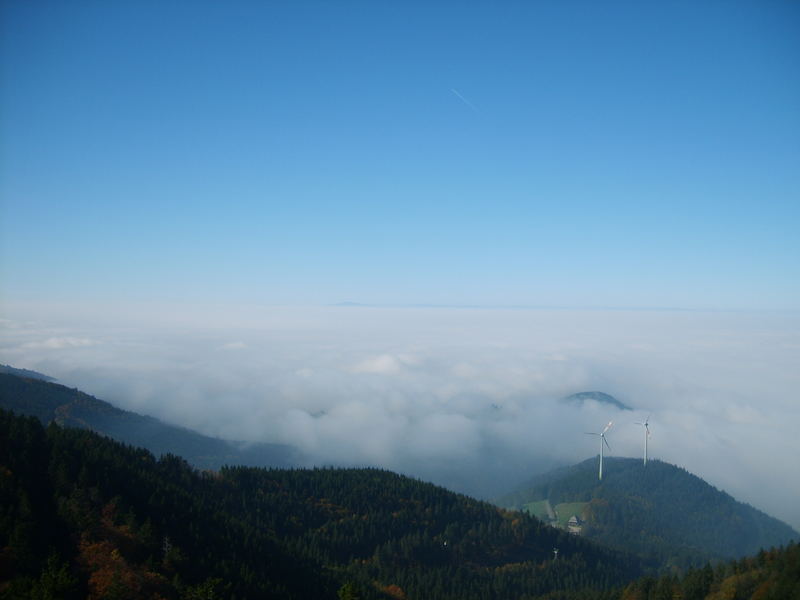 Irgenwo am Horizont die Gipfel der Vogesen...