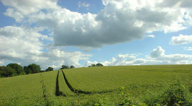 Irgenwo in Südengland