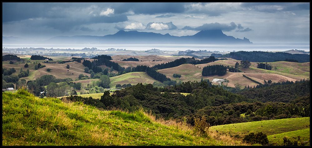 Irgenwo zwischen Auckland und Paihia