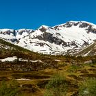 Irgenwo zwischen Fjærland und Byrkjelo