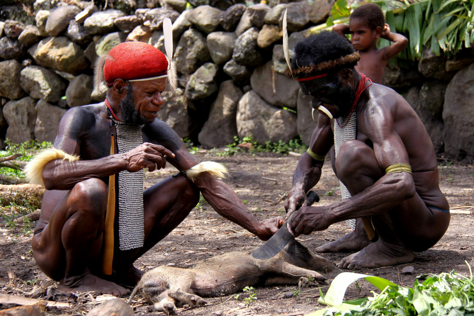 Irian Jaya. Preparazione del maialino per la cottura.