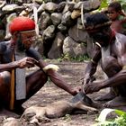 Irian Jaya. Preparazione del maialino per la cottura.