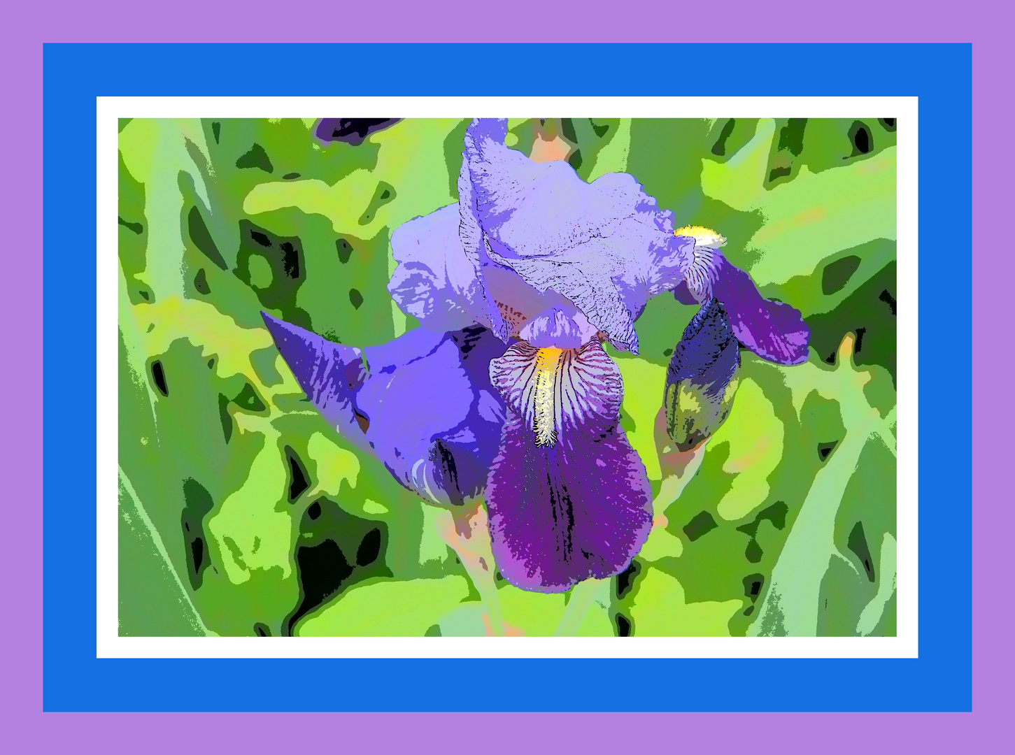 Iris einmal anders.....