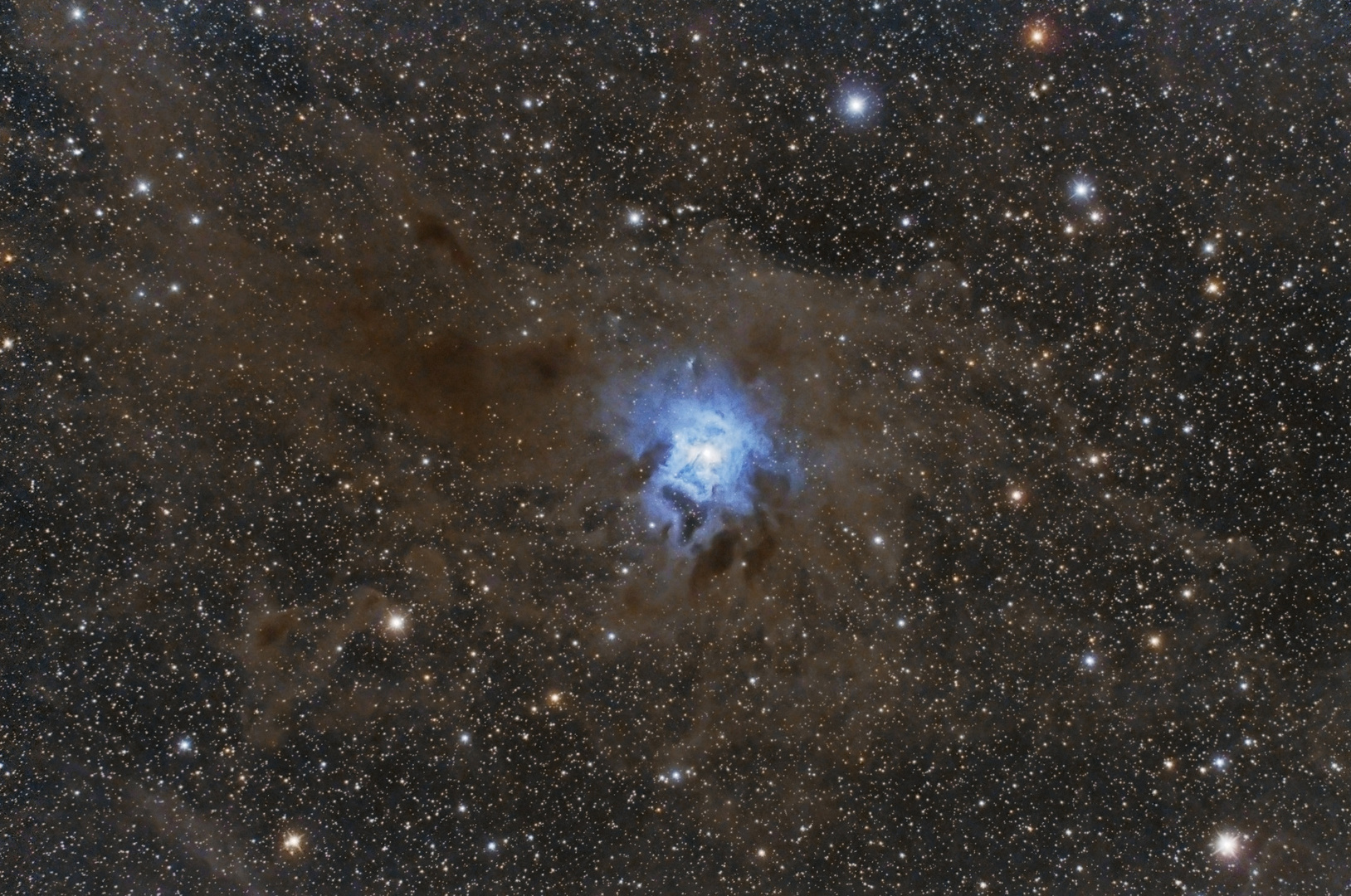 Iris Nebel - NGC7023