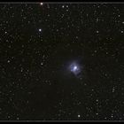 Iris Nebula (NGC 7023) - Reworked.