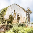 Irische Kirchenruine bei Cork