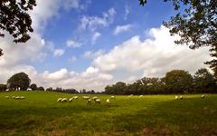 Irische Schäfchenwolken