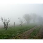 Irischer Nebel