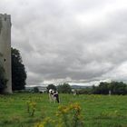 Irischer Roundtower