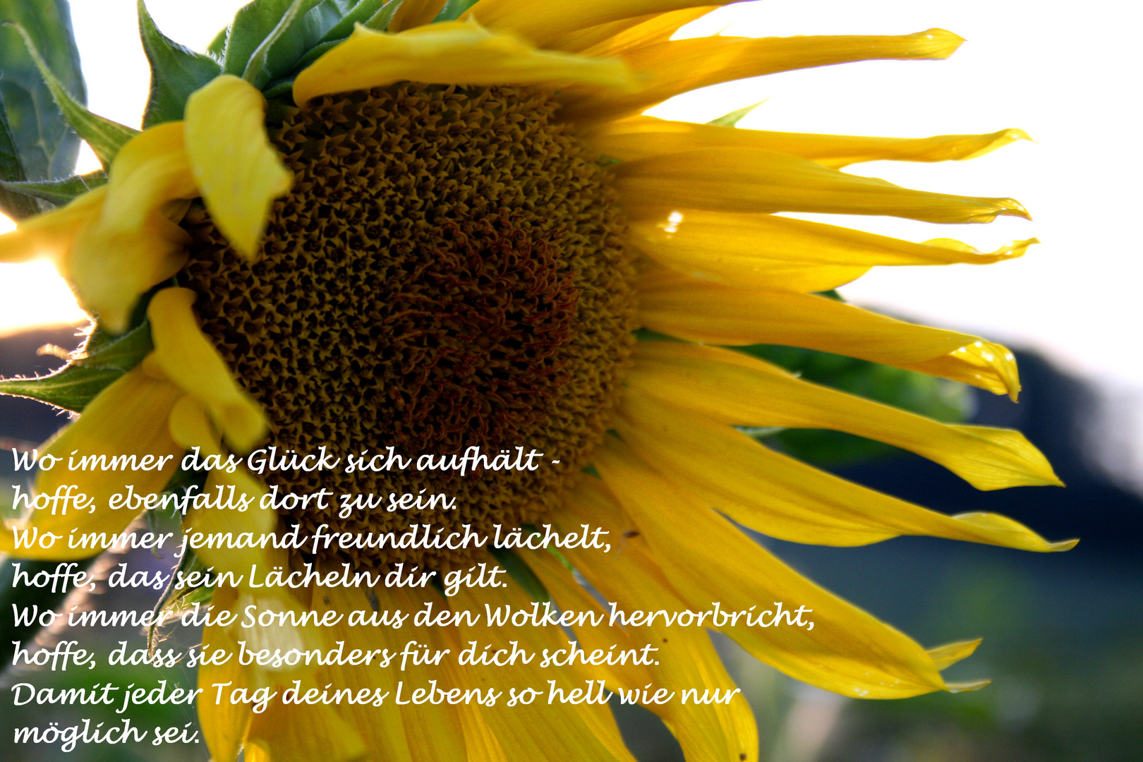 Irischer Segensspruch 3