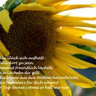 Irischer Segensspruch 3