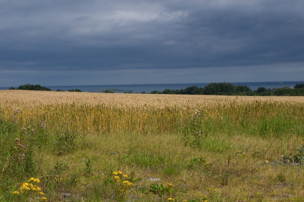 Irischer Sommer 1