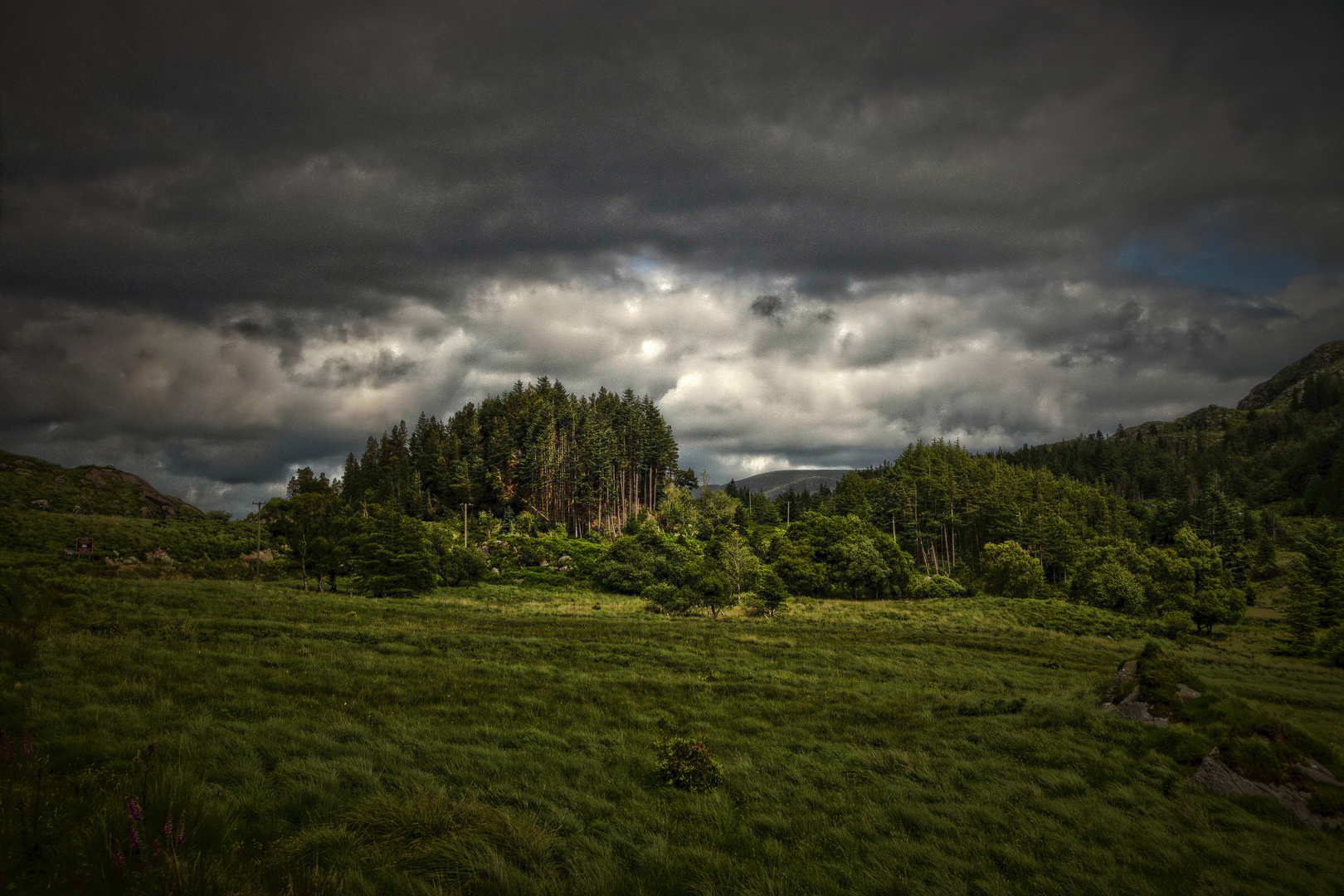 Irisches Grün & graue Wolken