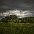 Irisches Grün & graue Wolken