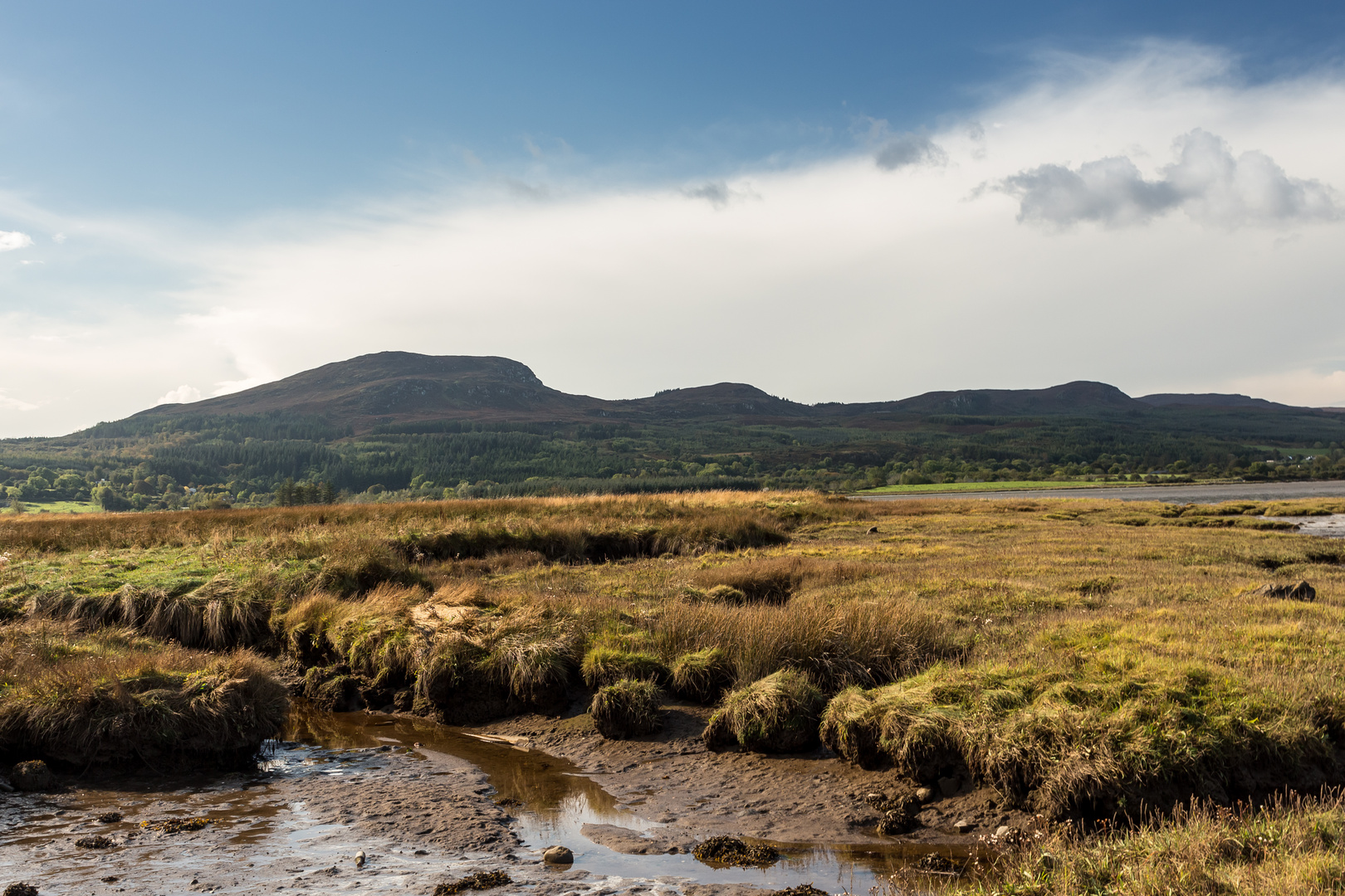 Irisches Moor II