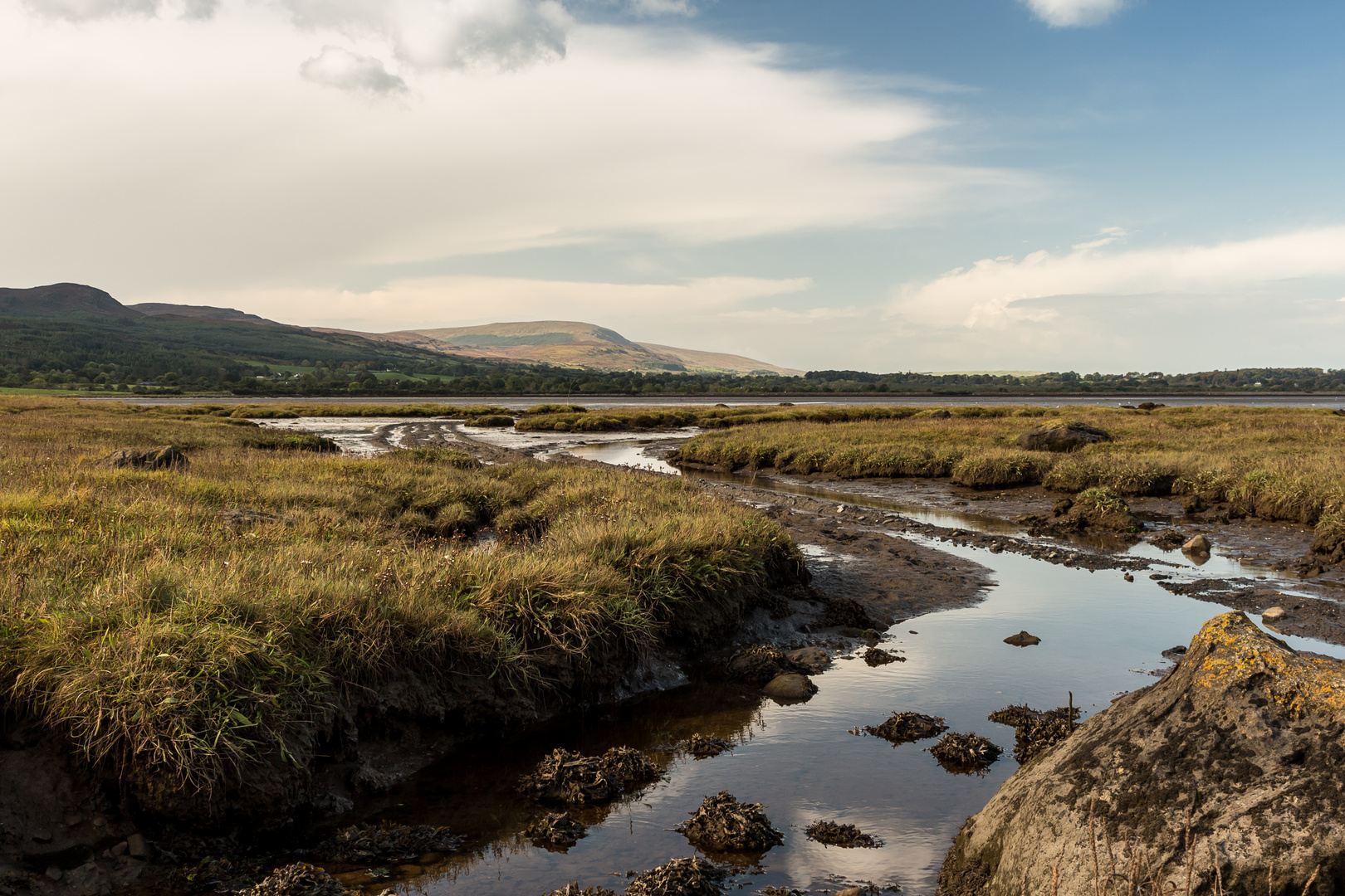 Irisches Moor III