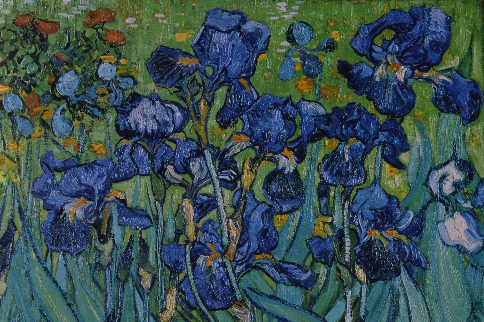 Irises, 1889, van Gogh