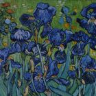 Irises, 1889, van Gogh