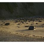 irish beach stones
