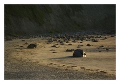 irish beach stones