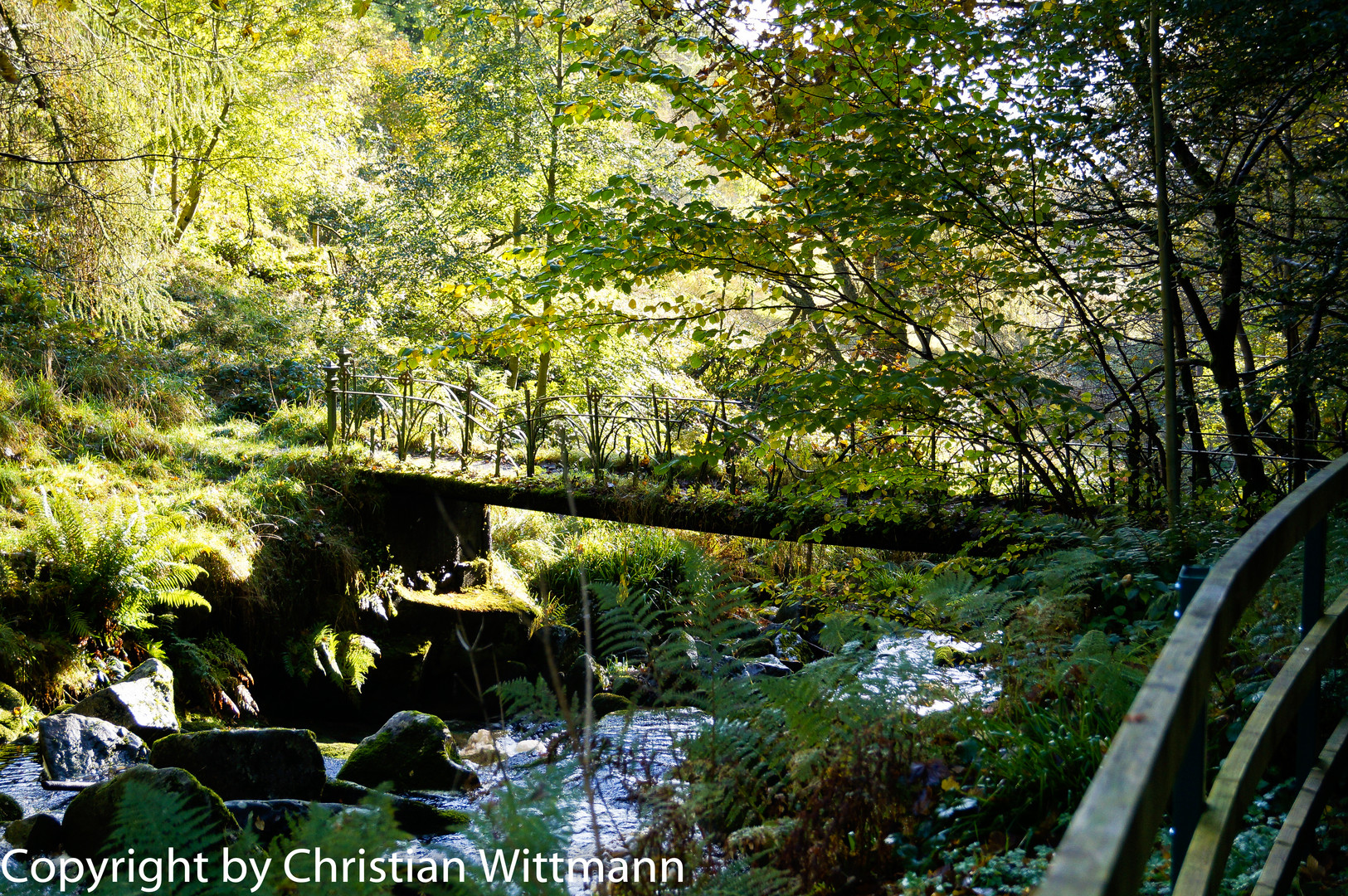 Irish Bridge