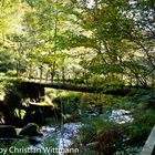 Irish Bridge