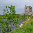 Irish Castle