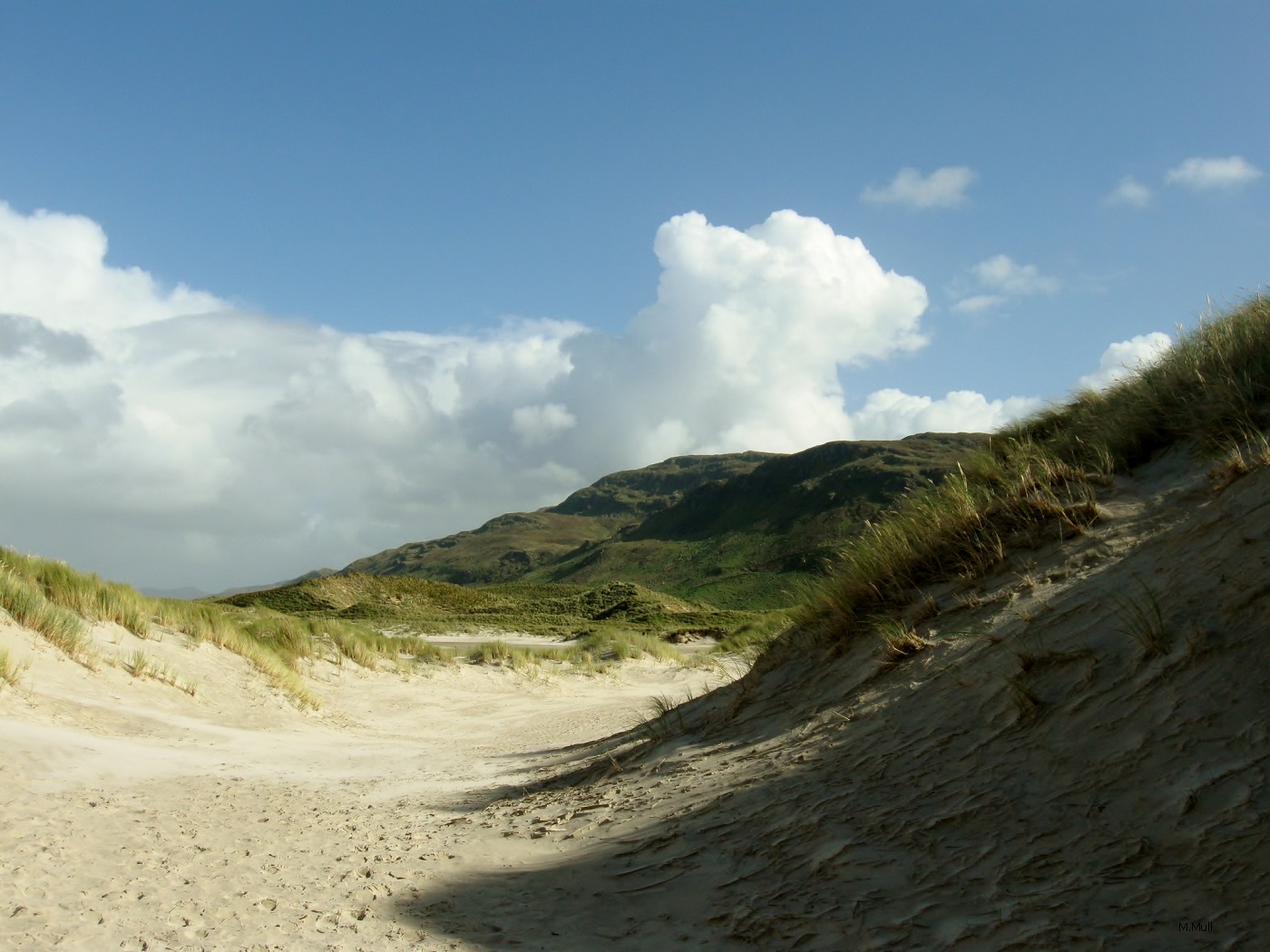 Irish coastline V