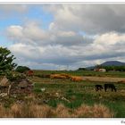 Irish Countryside - Claggan, County Mayo