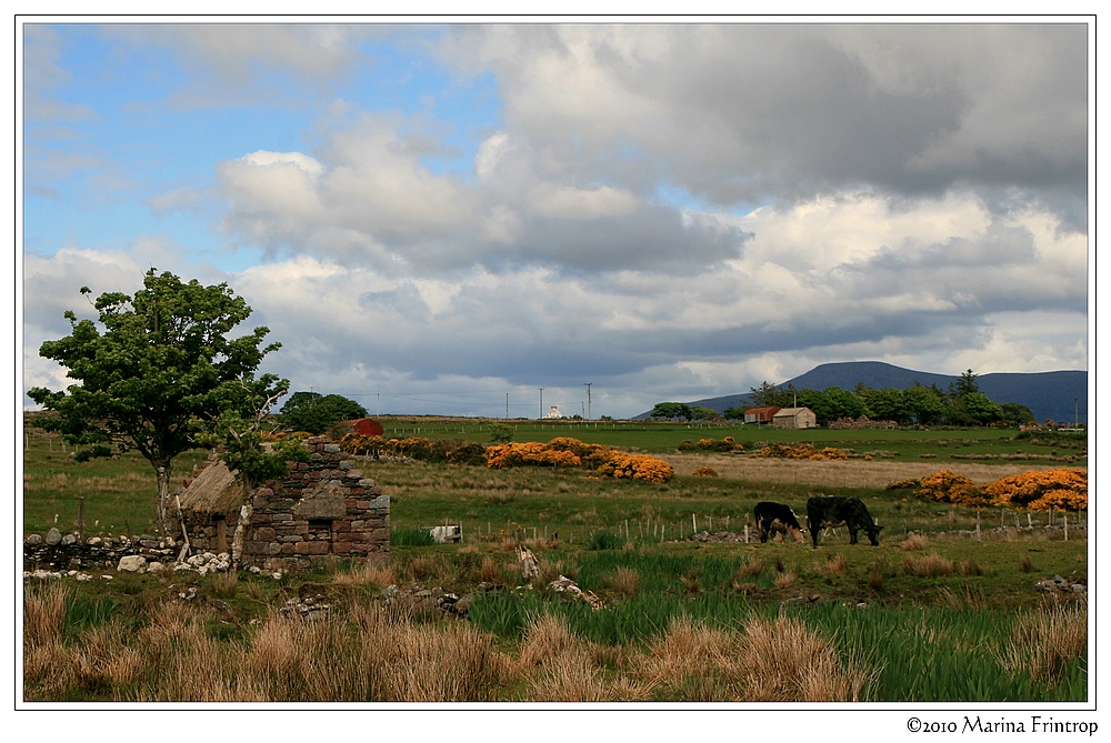 Irish Countryside - Claggan, County Mayo