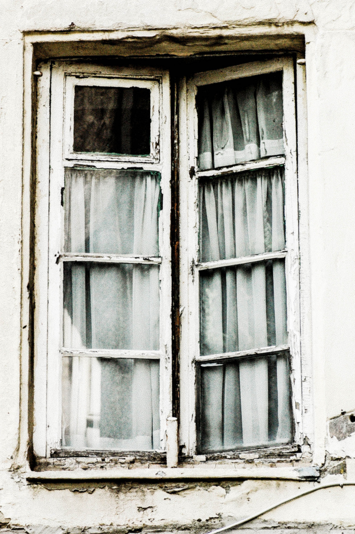 irish doors & windows II