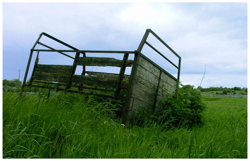 irish farming