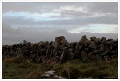 [ irish fence ]