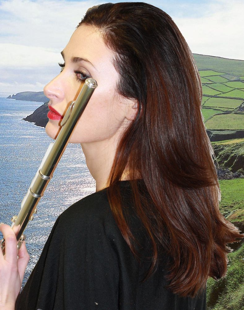 Irish flute 2012