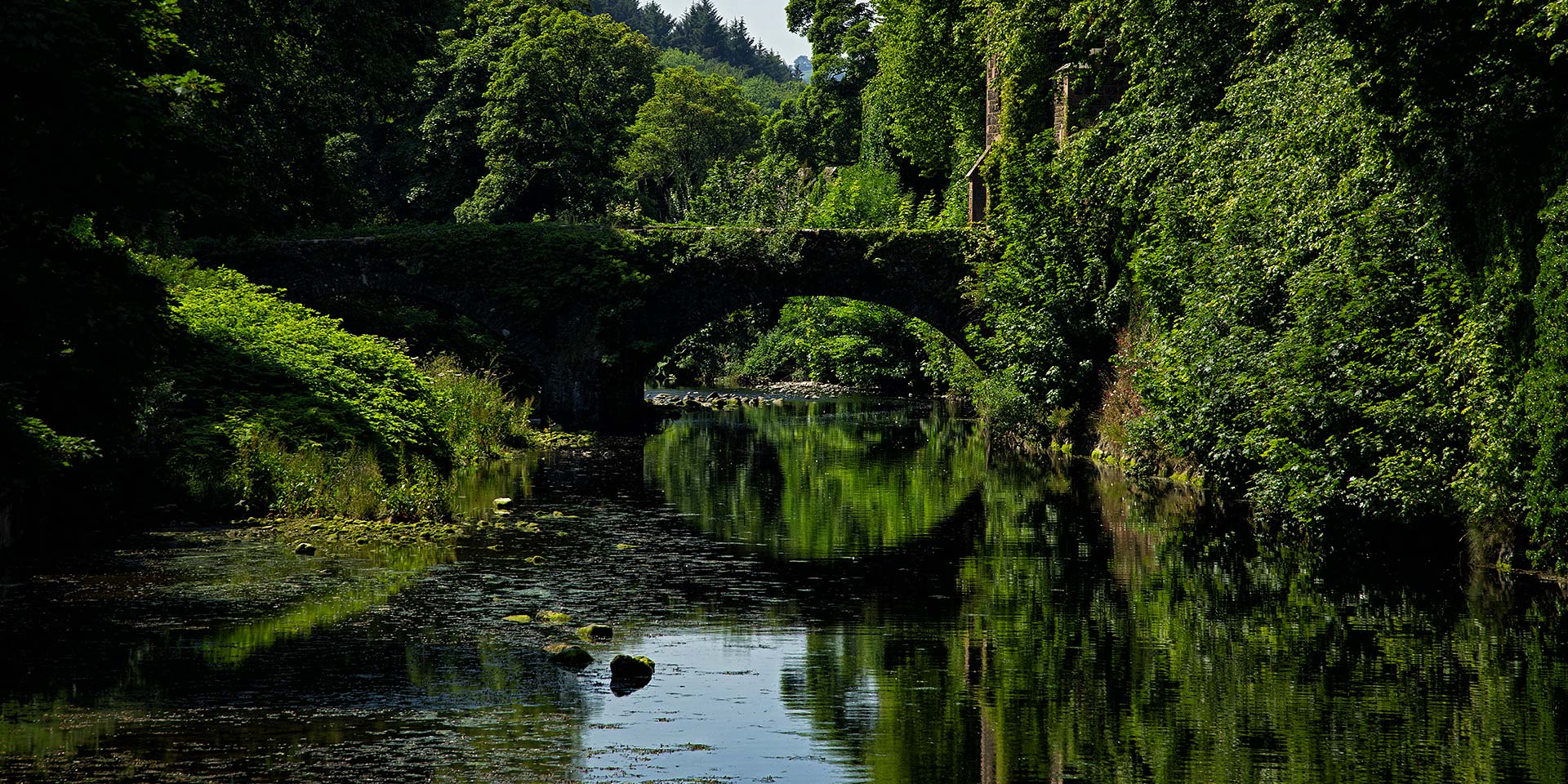 Irish Green