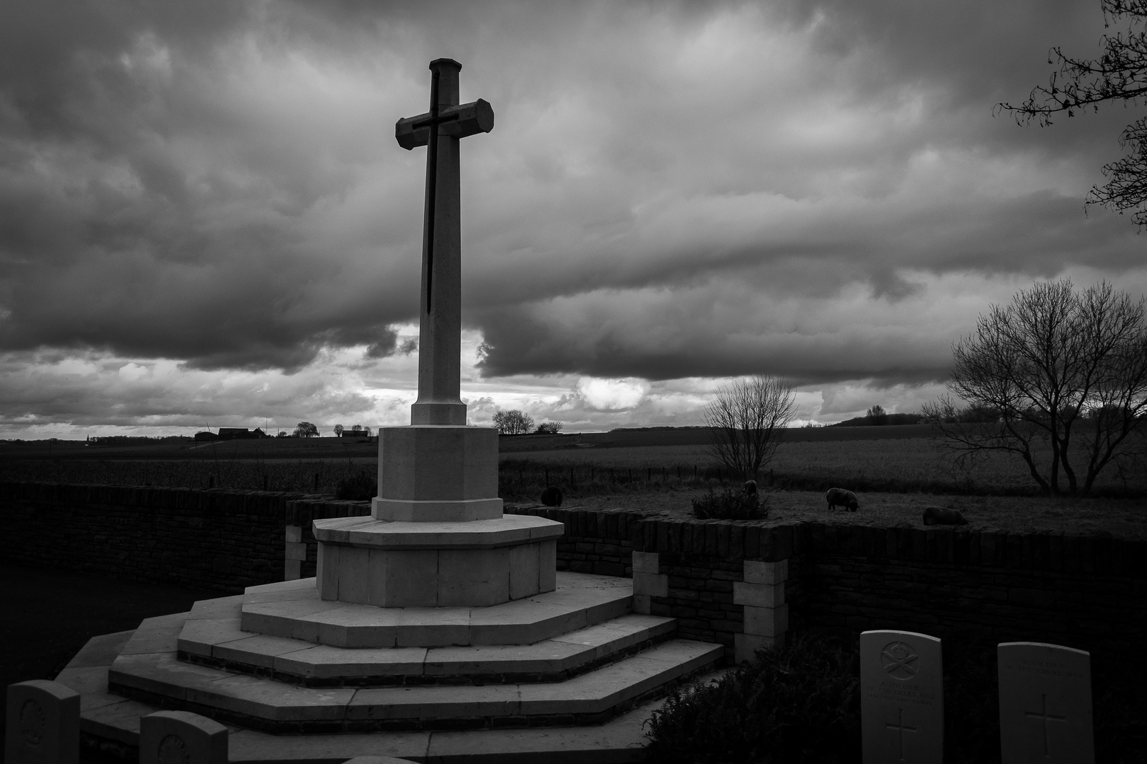 Irish House Cemetery