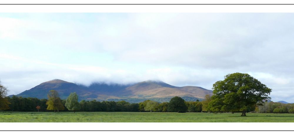 Irish Mountains .../Killarney Nationalpark