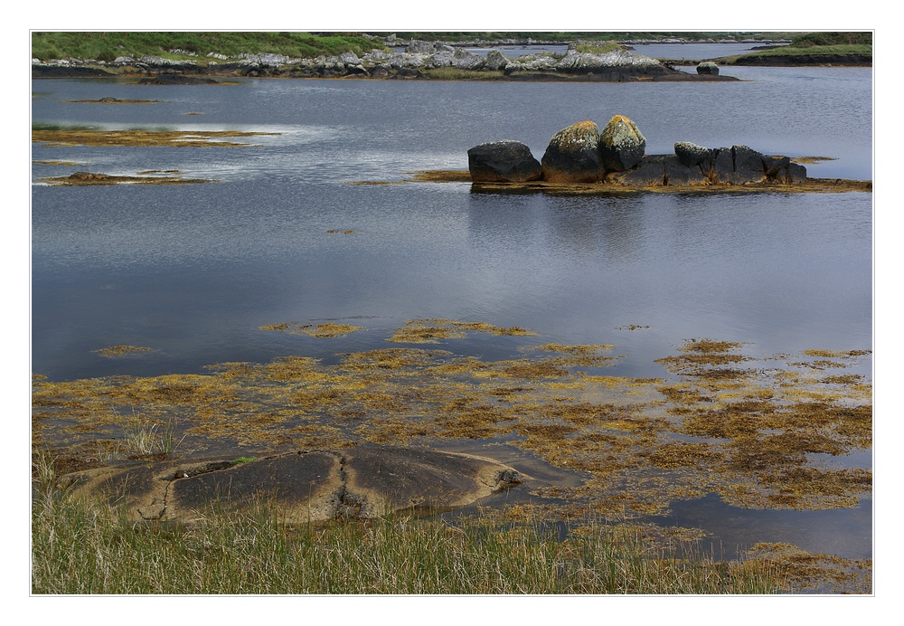 irish nature