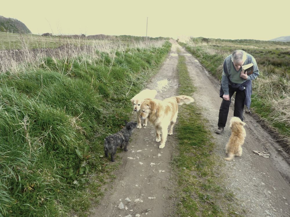 irish poet with his dogs :)