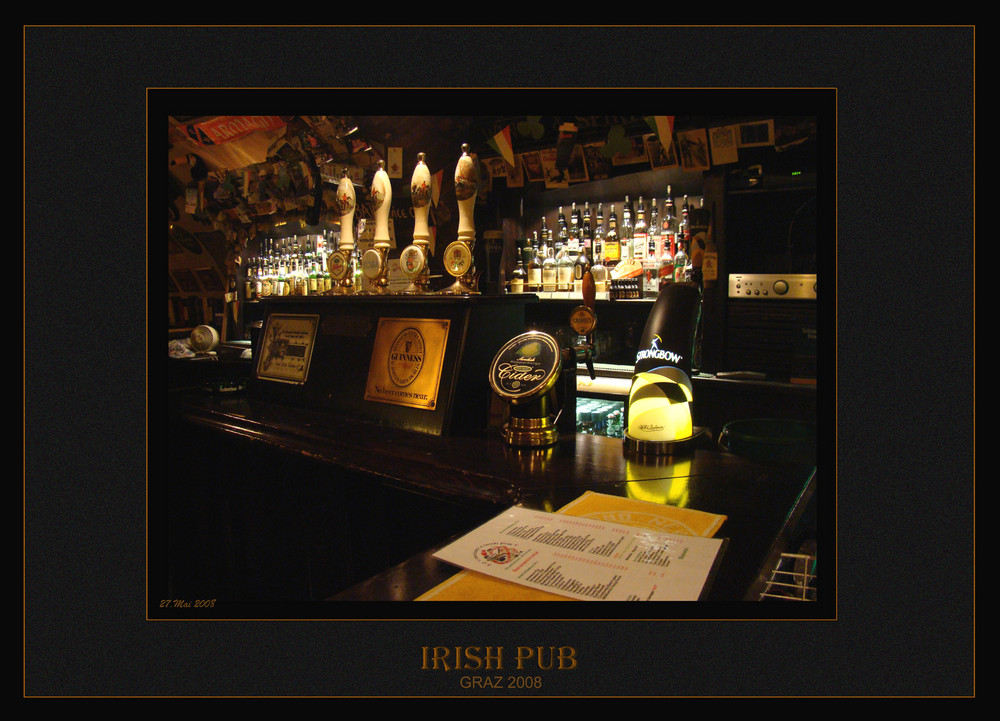 Irish Pup in Graz