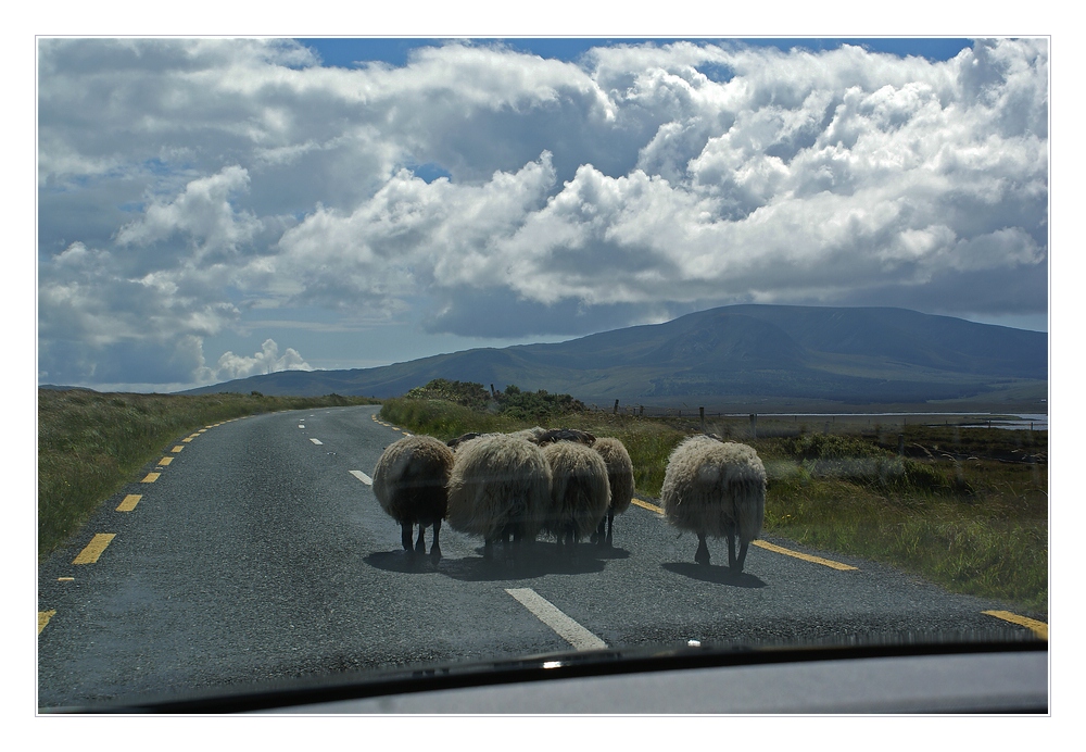 Irish Roads