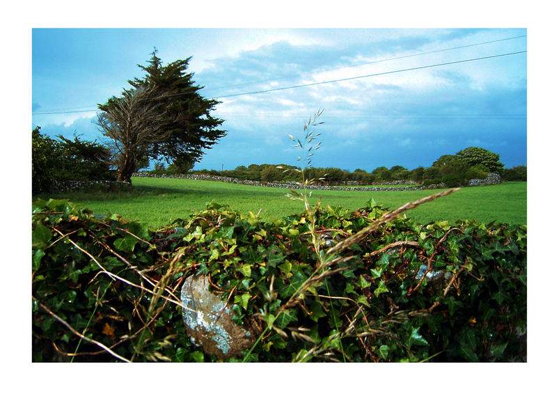 irish summer 2005