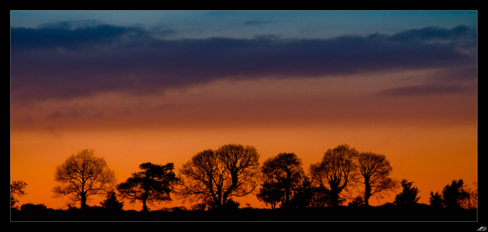 Irish Sunset