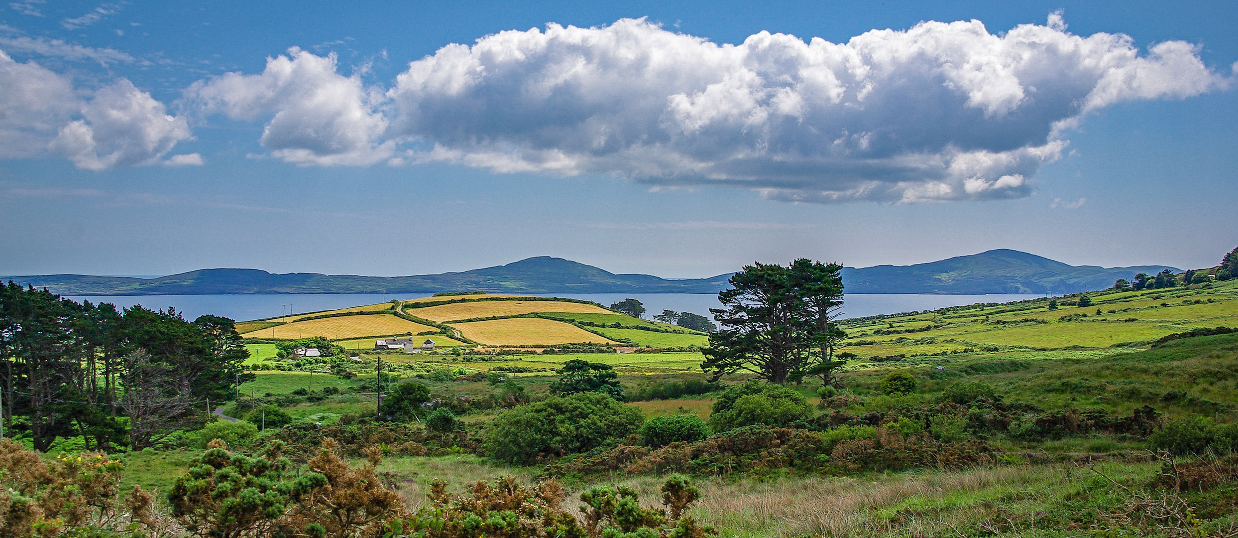 Irish sunshine