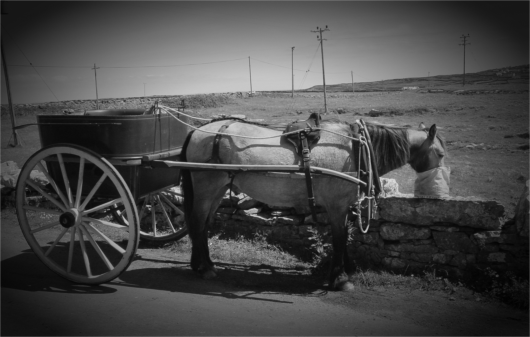 irish taxi 