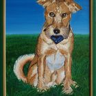 Irish Terrier - reload